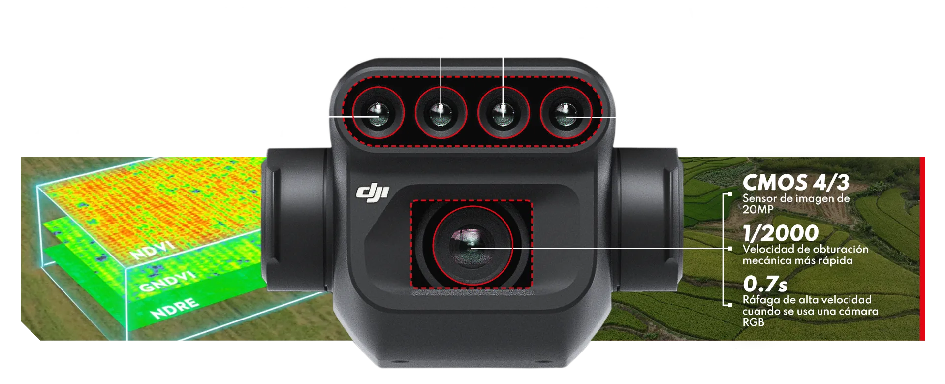 campodrone